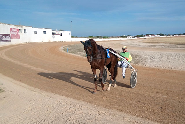 Previa Torre del Ram 28-05-17
