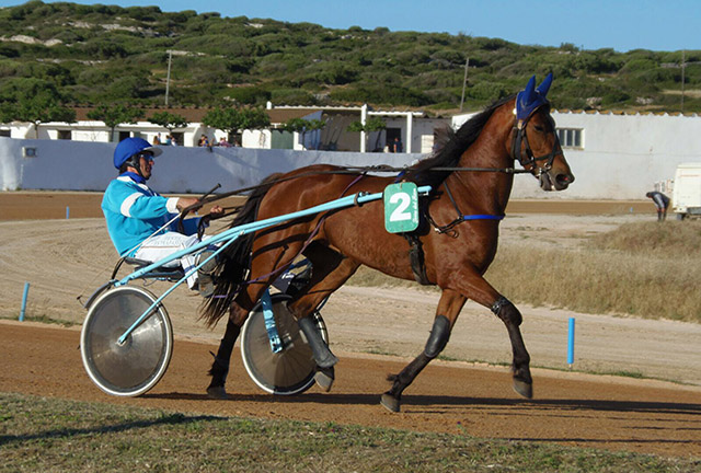 Torre del Ram-21-05-17