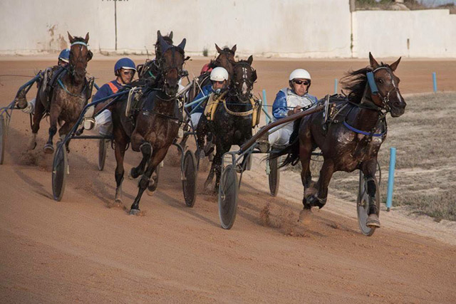 vuronometro sund 21-07-17