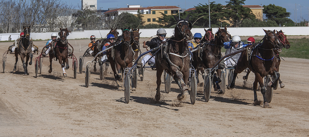 Carreras caballos_mao