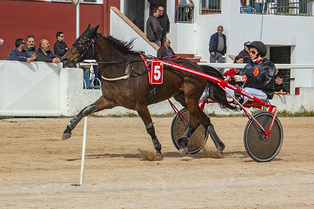 Carreras Trot 