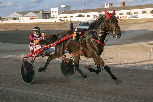 Carreras Trot Festes Mô