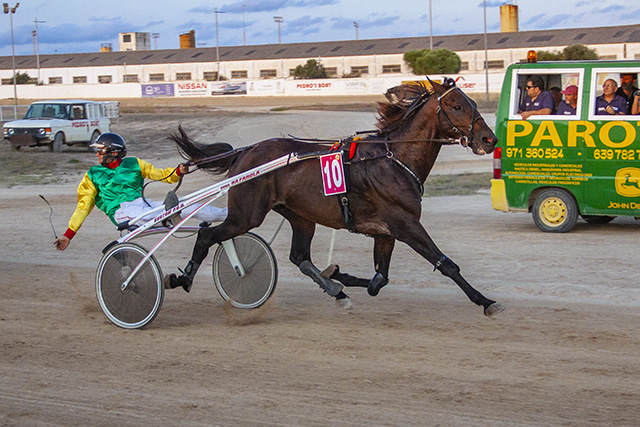 Carreras Trot Festes Mô
