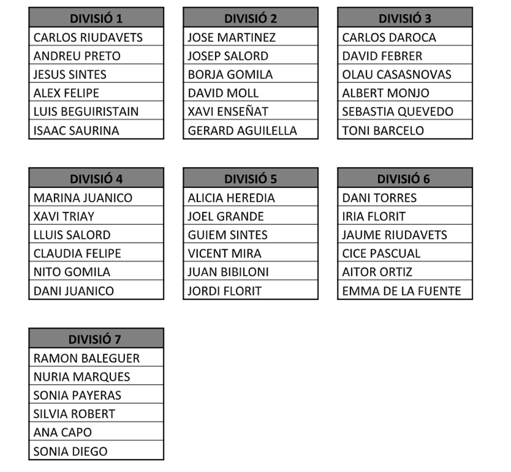 Cuadro División Bádminton