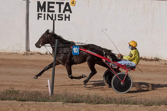 Diada Sant Joanet 2021