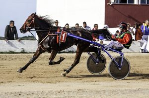 Carreras Maó 20-11-16