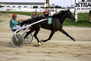 Carreras Maó 20-11-16