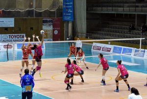 Avarca de Menorca-Haris (Foto Miquel Moll)