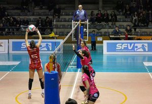 Avarca de Menorca-Haris (Foto Miquel Moll)