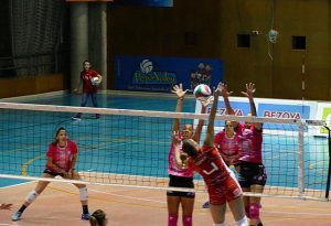 Avarca de Menorca-Haris (Foto Miquel Moll)