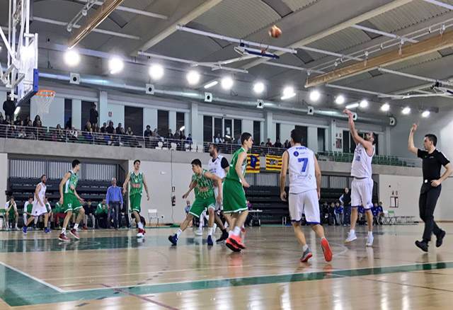 OlivarBasket-Made in Menorca