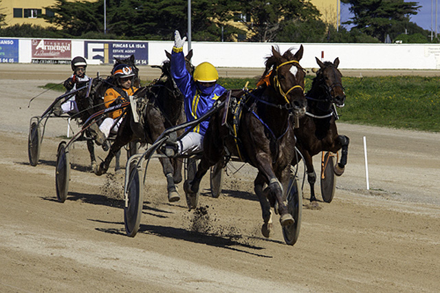 Speaker Madrik 29-1-17