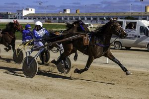 Vuronommetro Sund 29-1-17