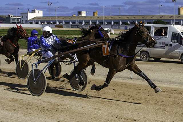 Vuronommetro Sund 29-1-17