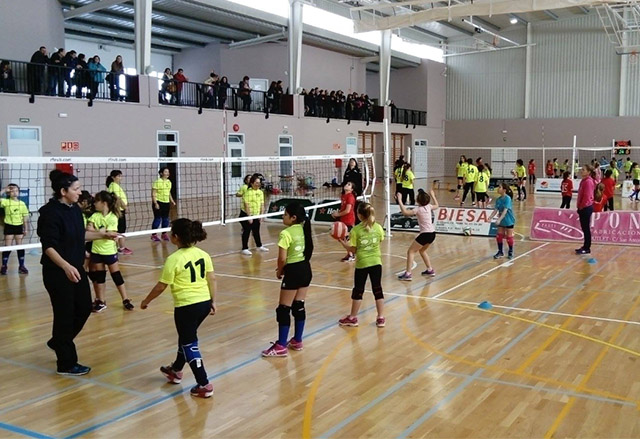 Diada de Minivolei a Alaior