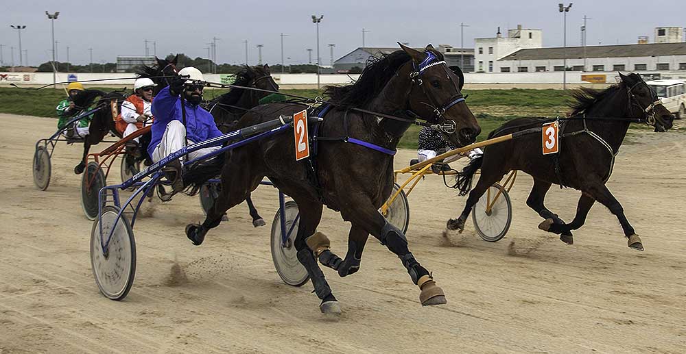 Diada del Norte 12-2-17