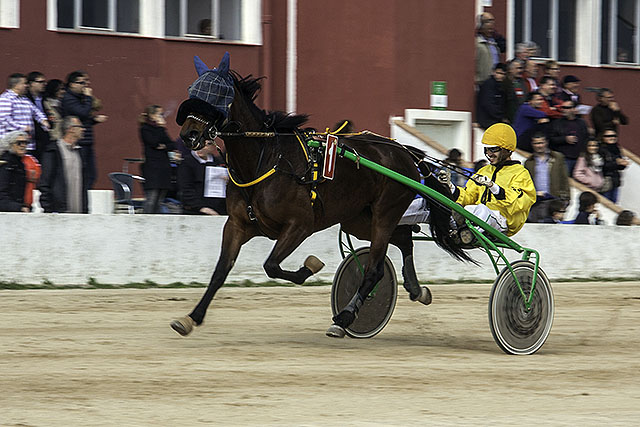 Din Din de Font 19-2-17