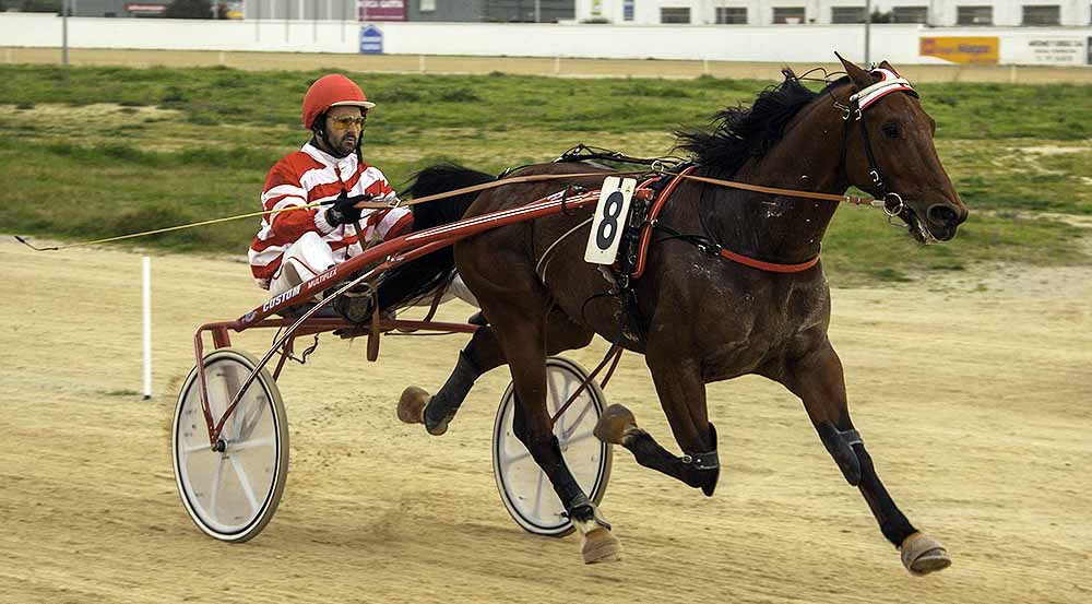 Durag de Clide 12-2-17GROS