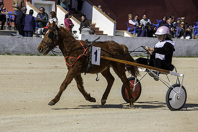 Fabian (Foto: Carlos Orfila