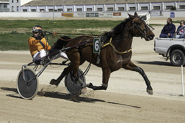 Ulysse Boy (Foto: Carlos Orfila) 26-2-17