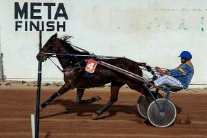 'Diada de les Illes Balears' -Torre del RamCO