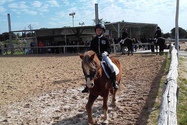 Lluc Coll - Morgenland's Ch Equiesport