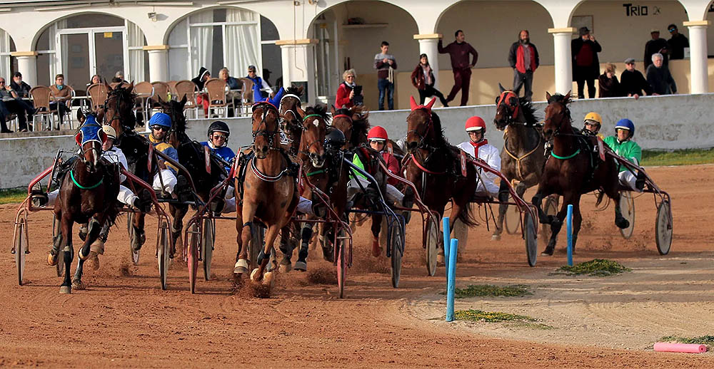 Torre del Ram 12-03-17