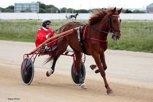 Esquitx d'Odin - S. Roters 2.4.17 (Edgar Torres)