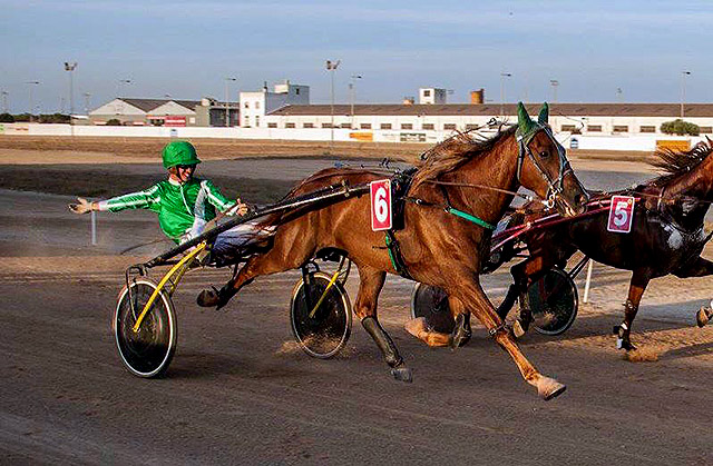 Hipodromo Maó_CO