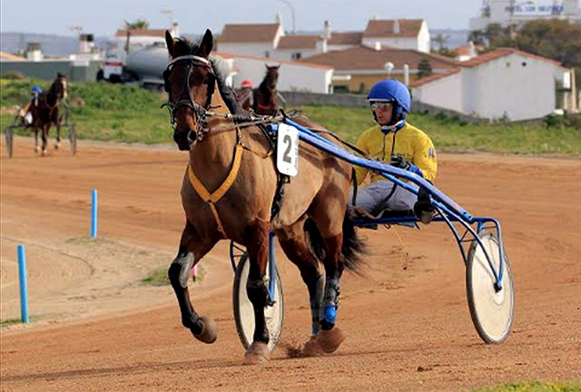 Torre del Ram 16-04-2017