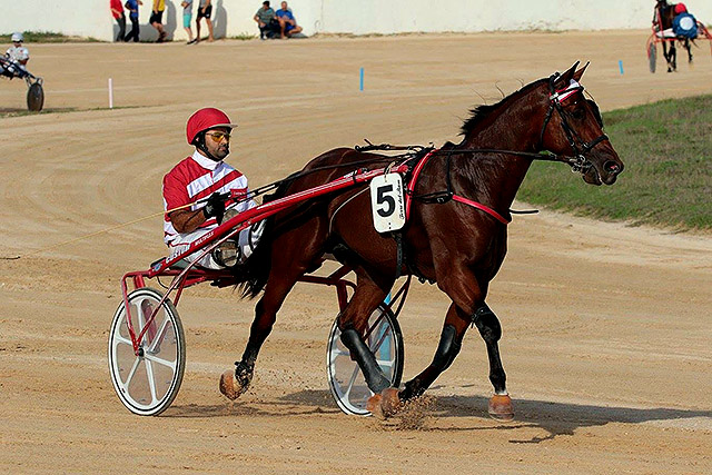 Torre del Ram-Previa