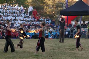 Expedició menorquina a Gotland