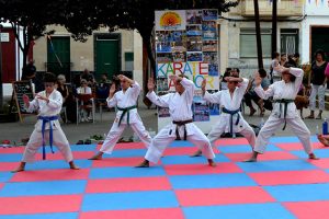 6a Exhibició De Karate De Sant Llorenç 2017