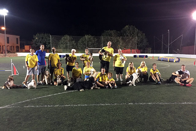 6a exhibició d'Agility de Sant Llorenç 2017