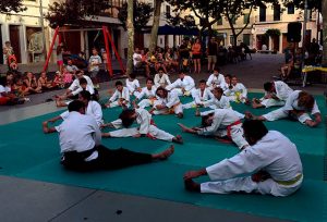 9a Exhibició d’Aikido de Sant Llorenç 2017