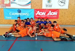 Copa AON de bàsquet