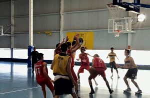 Boscos-Alcázar jun masc