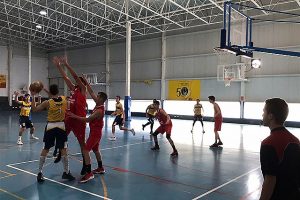 Boscos-Alcázar jun masc