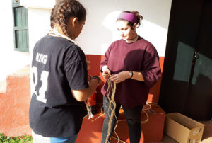 Taller de Tir de Fona