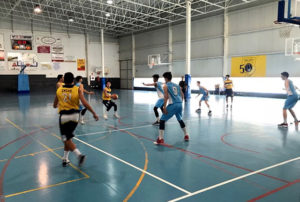 boscos salle palma 1