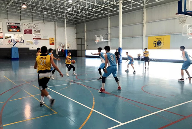 boscos salle palma 1