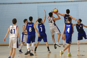 st lluis-salle jn msc