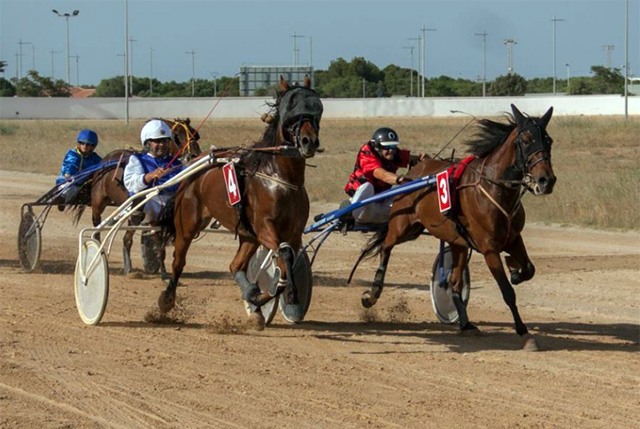 Carreras Hipódromo Mô (Carlos Orfila)