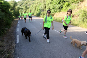 IV Cursa del Toro_FIOL4197