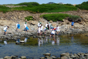 Limpieza Cala Teulera-CMM