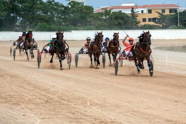 Carreras Trot 25-08-18