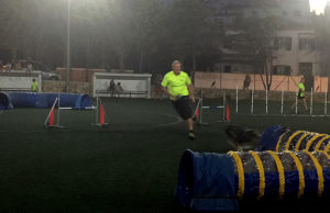 Exhibició d'Agility de Sant Llorenç 2018