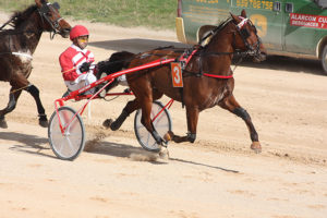 Carreras Cavalls 11-11-18