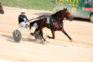 Carreras Cavalls 11-11-18