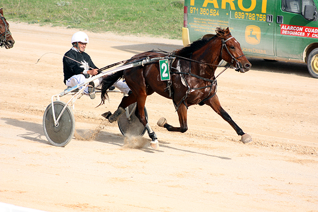 Carreras Cavalls 11-11-18